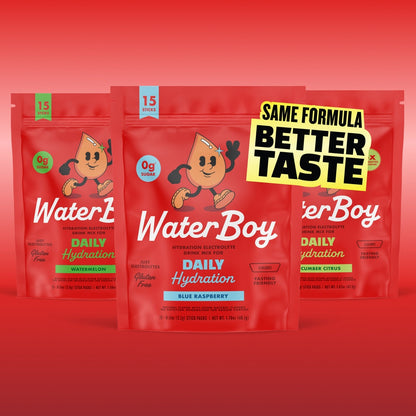 WaterBoy Daily Hydration 15pk