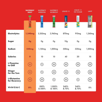 WaterBoy Daily Hydration 15pk