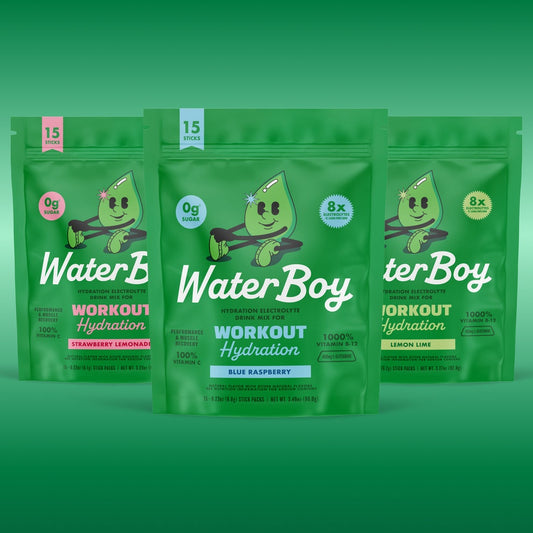WaterBoy Workout Hydration 15pk